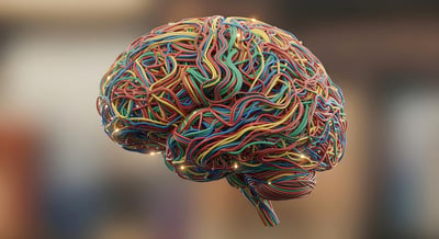 More Neurodivergent Students Are Enrolling—How Can Colleges Support Their Success?