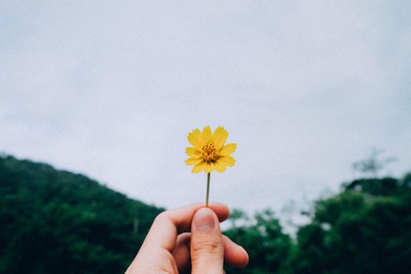 The EvoLLLution | The Happiness Advantage: The Seven Principles that Fuel Success and Performance at Work