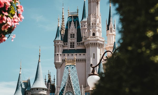 The EvoLLLution | General Education: The Disneyland of Higher Ed