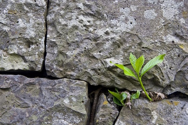 The EvoLLLution | Improving Student Success and Satisfaction in Online Learning