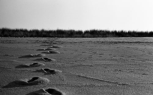 footprints