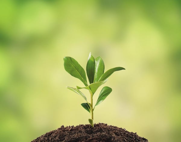 The EvoLLLution | Optimize Core Intelligences: Managing Professional Intellect by Making the Most of the Best