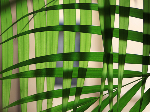 interwoven