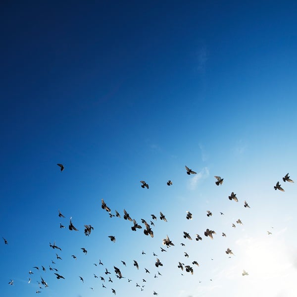 The EvoLLLution | Improving the Ties Between Faculty and Administration