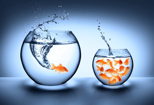 Five Ways to Lead in the Competitive Non-Traditional Higher Ed Marketplace The EvoLLLution | Five Ways to Lead in the Competitive Non-Traditional Higher Ed Marketplace