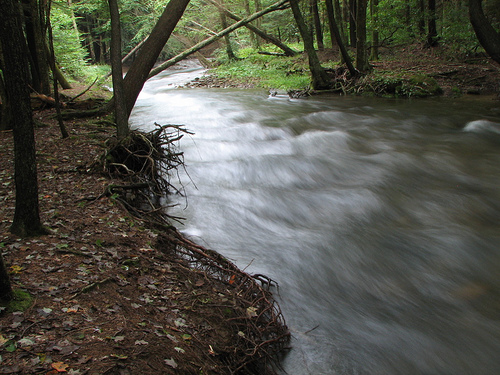 stream