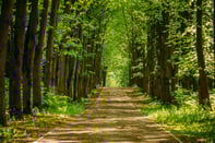 Rethinking How Learning Pathways Are Built in a Rapidly Changing Workforce