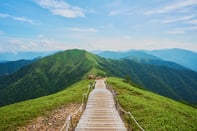 Rethinking Learning Pathways for Long-Term Value