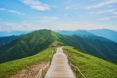 Rethinking Learning Pathways for Long-Term Value