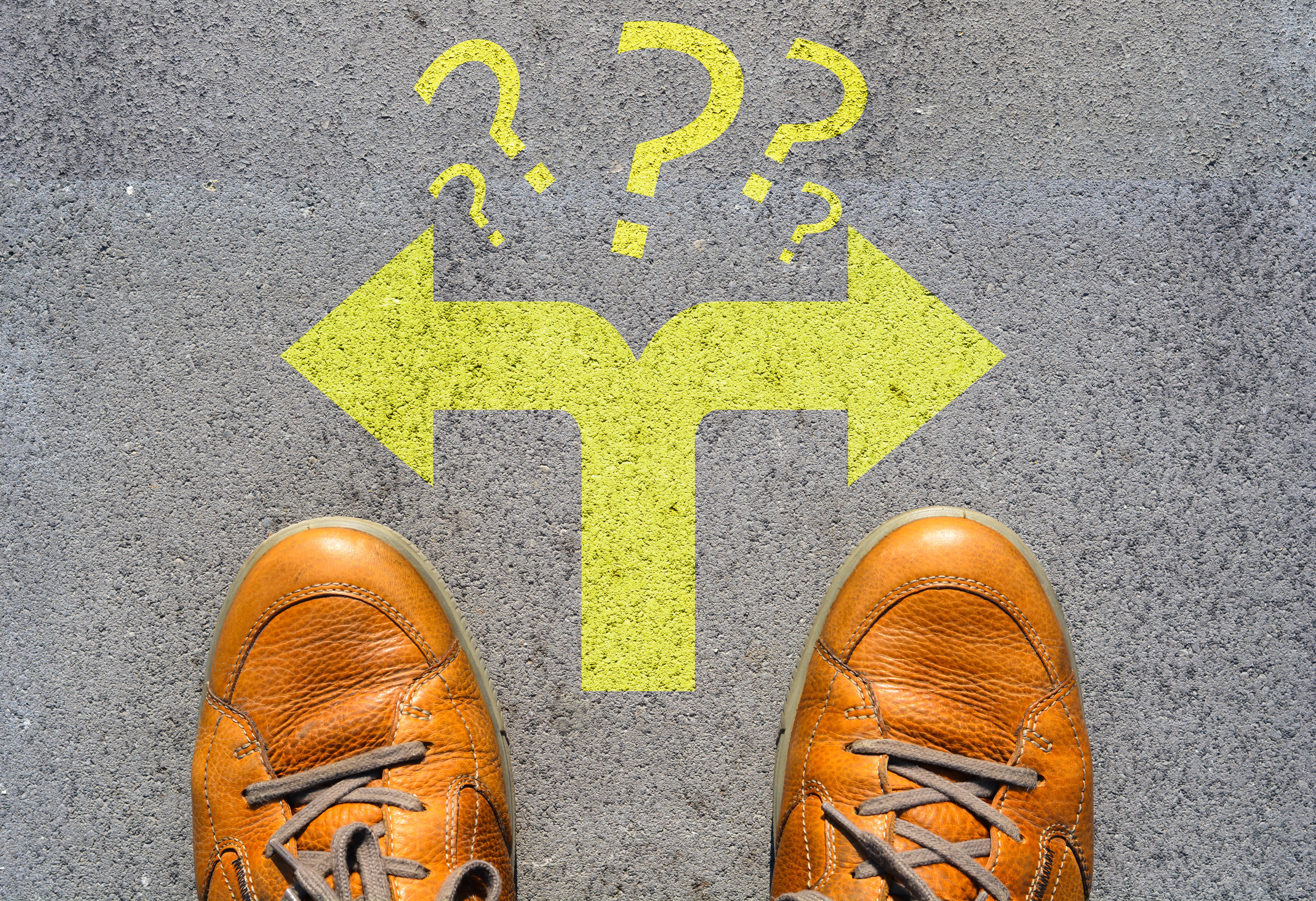 Who Owns Career Navigation in Higher Education?