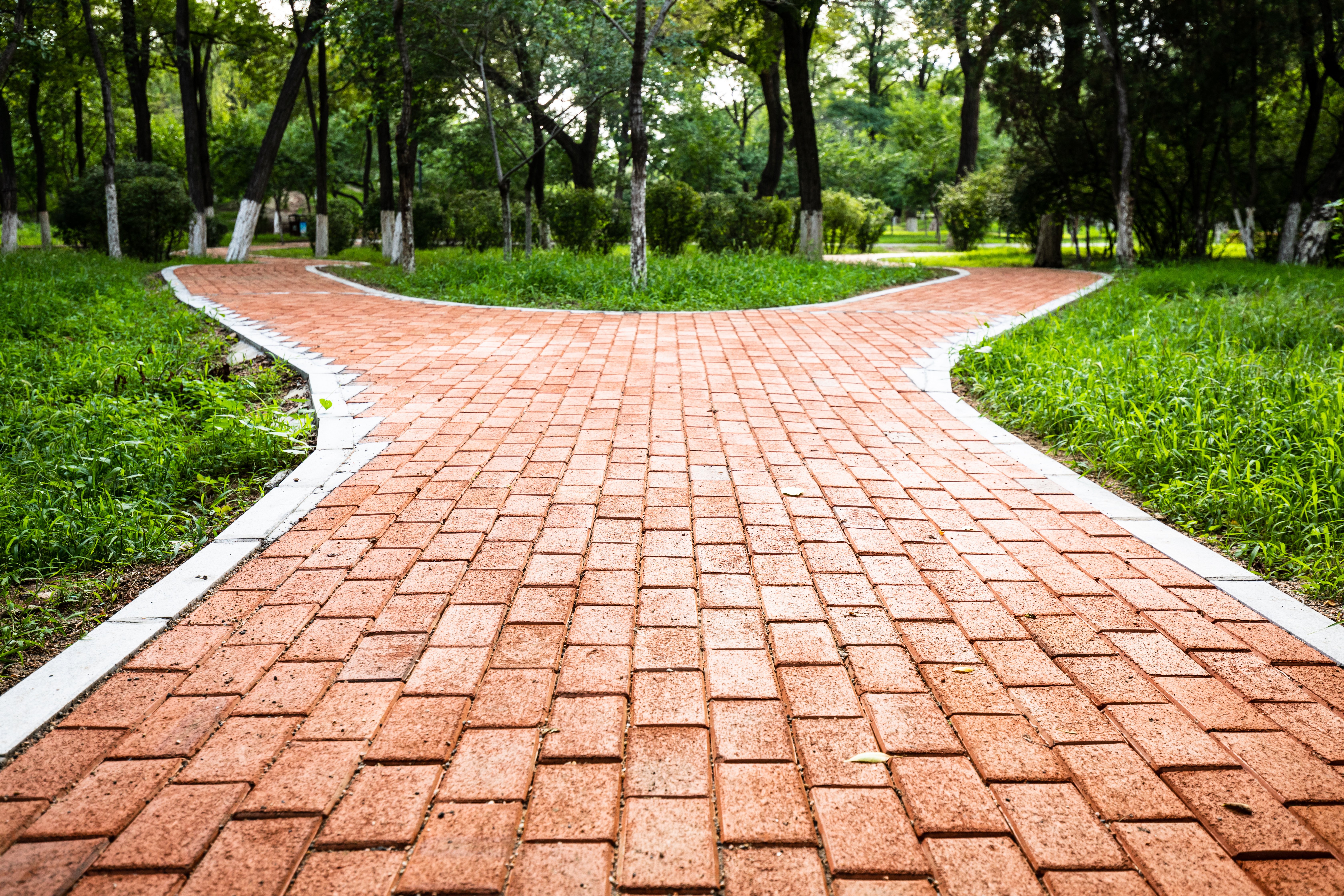 From 2+2 to A+B: Redefining Transfer Pathways for Today’s Learners