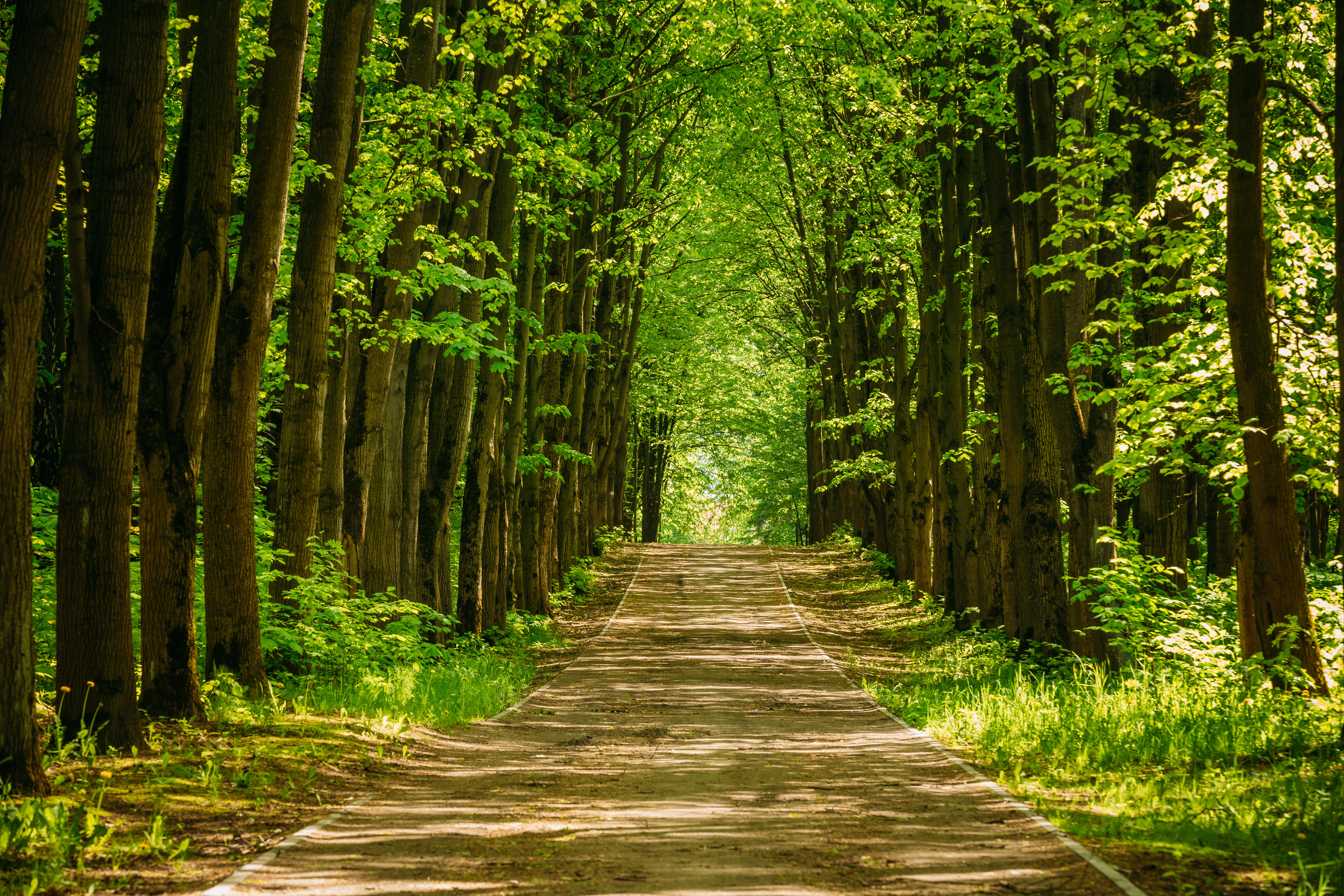 Rethinking How Learning Pathways Are Built in a Rapidly Changing Workforce