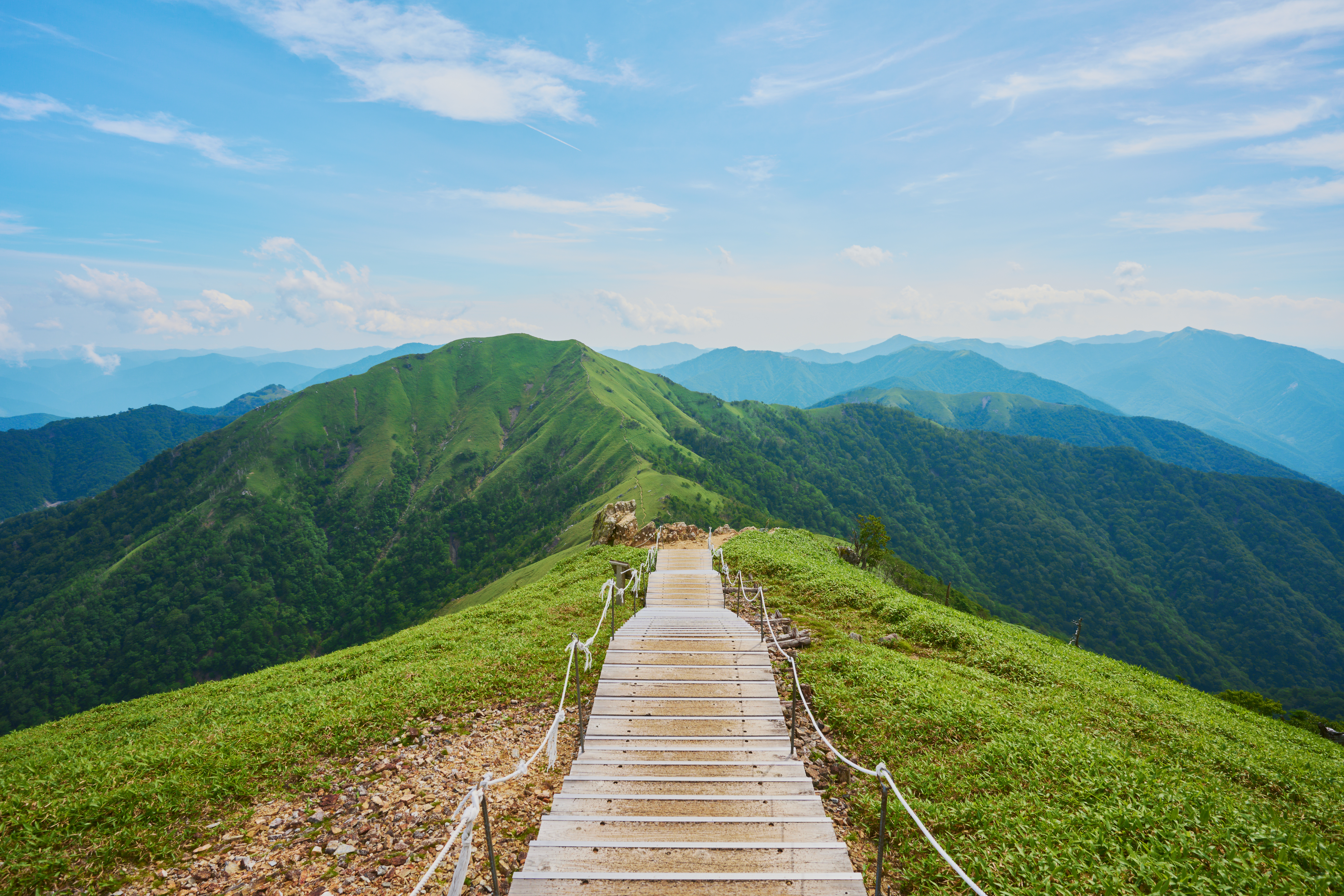 Rethinking Learning Pathways for Long-Term Value